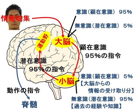 潜在意識 恋愛 体験談|潜在意識を活用して恋愛成就した体験談まとめ 